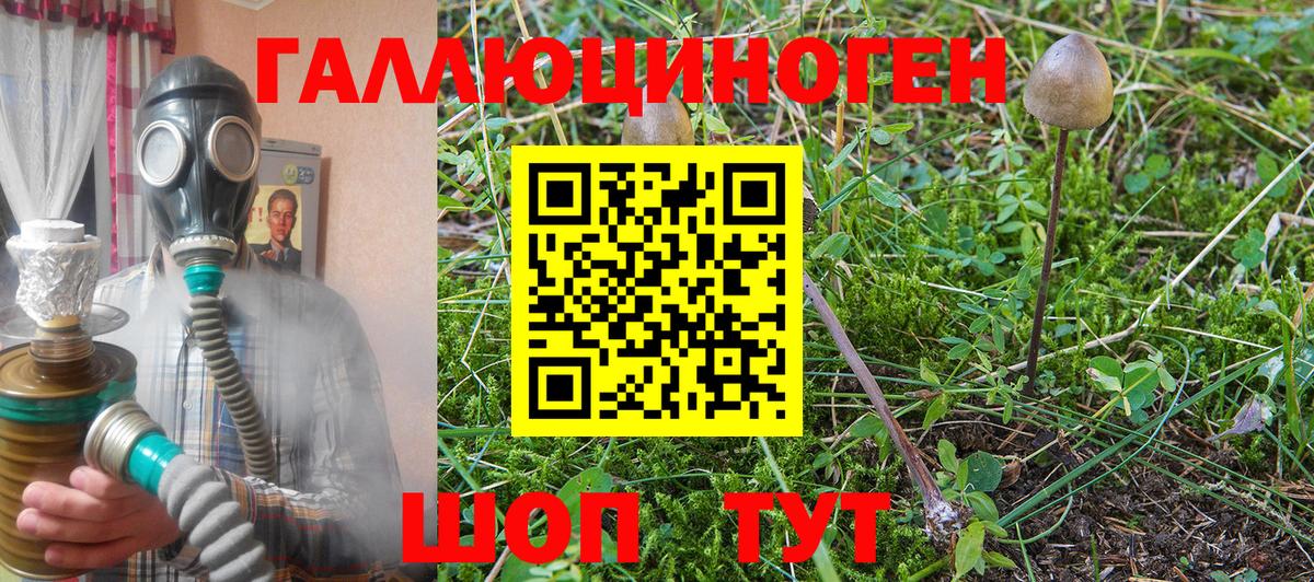 Псилоцибиновые грибы мицелий Балашов
