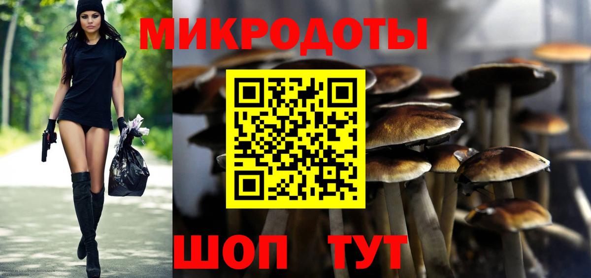 Балашов  Галлюциногенные грибы мицелий  Вход с VPN 